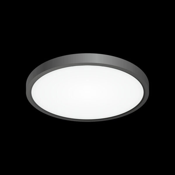 Потолочная люстра Citilux Бейсик CL738241V, арматура черная, плафон полимер белый - фото 1
