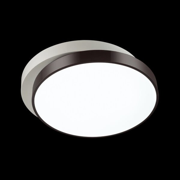Потолочный светильник Lumion Agatha 4509/72CL, арматура белая, плафон акрил белый - фото 1