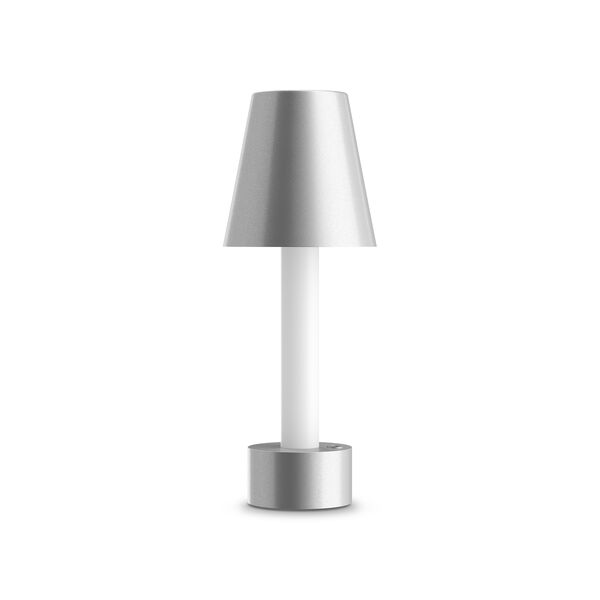 Декоративная настольная лампа Maytoni Tet-A-Tet MOD104TL-3AGR3K, арматура серебро, плафон металл серебристый - фото 1