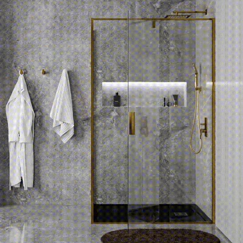 Душевая дверь WasserKRAFT Aisch WasserSchutz 55P12 100x200, стекло прозрачное, профиль золото матовое