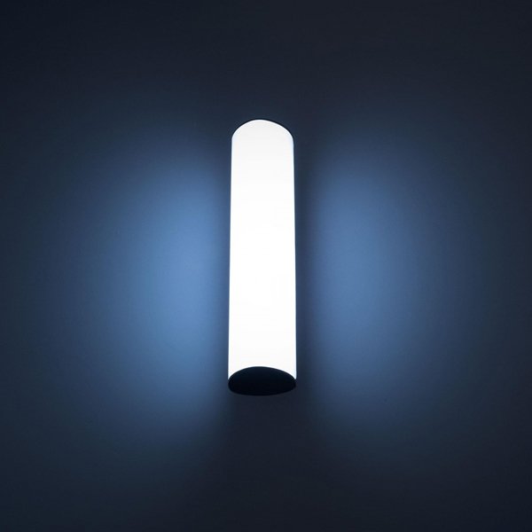 Настенный уличный светильник Citilux CLU0007, арматура черная, плафон/абажур стекло, цвет белый
