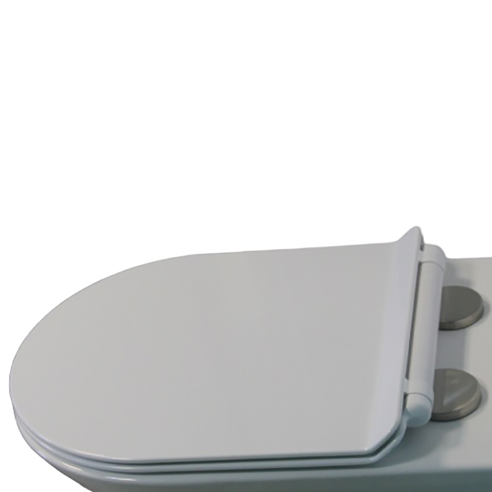 Сиденье CeruttiSPA Bernina Aria CT9439 для унитаза, с микролифтом, цвет белый - фото 1