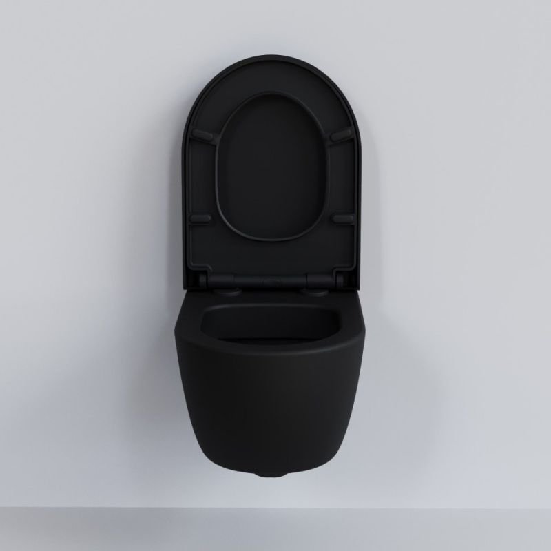 Сиденье Ambassador Abner 102T20201 для унитаза, с микролифтом, цвет черный матовый - фото 1