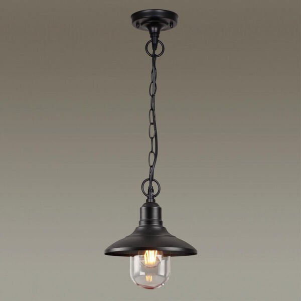 Уличный подвесной светильник Odeon Light Campa 4965/1, арматура черная, плафон стекло прозрачное