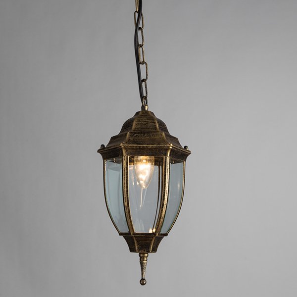 Уличный светильник подвесной Arte Lamp Pegasus A3151SO-1BN, арматура золото / черная, плафон стекло прозрачное, 16х16 см - фото 1