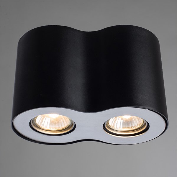 Потолочный светильник Arte Lamp Falcon A5633PL-2BK, арматура черная, плафоны металл черный, 20х11 см - фото 1