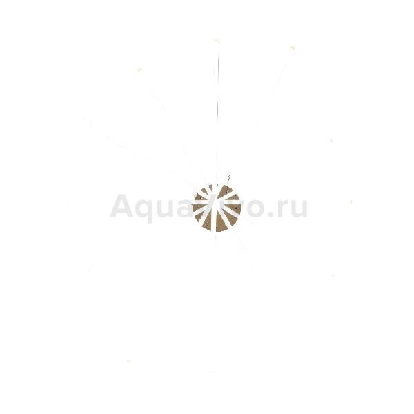 Подвесной светильник ST Luce Basoni SL394.223.06, арматура металл, цвет золото, плафон акрил, цвет белый