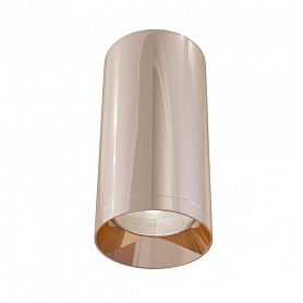 Потолочный светильник Maytoni Technical Focus C010CL-01RG, арматура розовое золото, плафон металл розовое золото - фото 1