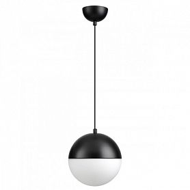 Подвесной светильник Odeon Light Pinga 4958/1A, арматура черная, плафон стекло белое - фото 1