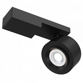Потолочный светильник Maytoni Technical Treo C062CL-L12B4K, арматура черная, плафон металл черный - фото 1