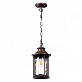 Ландшафтный подвесной светильник Odeon Light Mavret 4961/1, арматура коричневая, плафон стекло прозрачное - фото 1
