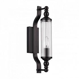 Настенный светильник Odeon Light Tolero 4941/1W, арматура черная, плафон стекло прозрачное - фото 1