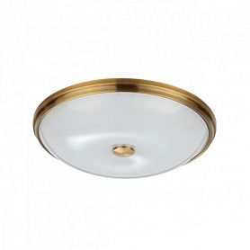 Настенно-потолочный светильник Odeon Light Pelow 4956/5, арматура бронза, плафон стекло белое - фото 1