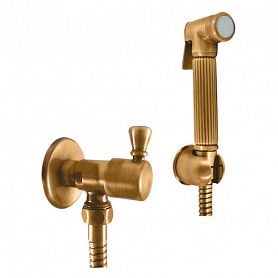 Гигиенический душ Rav Slezak Morava SK6605-1Z, со встраиваемым смесителем, цвет золото - фото 1