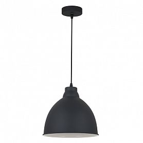 Подвесной светильник Arte Lamp Braccio A2055SP-1BK, арматура черная, плафон металл черный, 26х26 см - фото 1