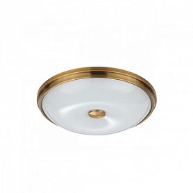 Настенно-потолочный светильник Odeon Light Pelow 4956/4, арматура бронза, плафон стекло белое - фото 1