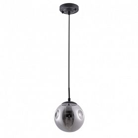 Подвесной светильник Arte Lamp Tureis A9915SP-1BK, арматура черная, плафон стекло дымчатое, 15х15 см - фото 1