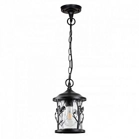 Уличный подвесной светильник Odeon Light Cuita 4963/1, арматура черная, плафон стекло прозрачное - фото 1
