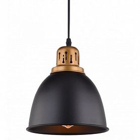 Подвесной светильник Arte Lamp Eurica A4245SP-1BK, арматура черная / медь, плафон металл черный, 21х21 см - фото 1