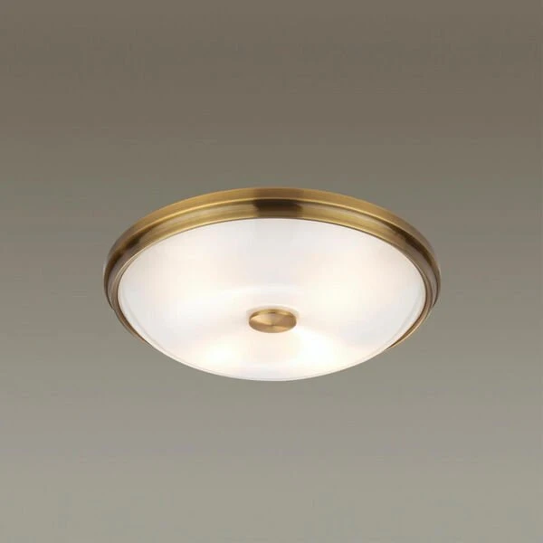 Настенно-потолочный светильник Odeon Light Pelow 4956/4, арматура бронза, плафон стекло белое - фото 1