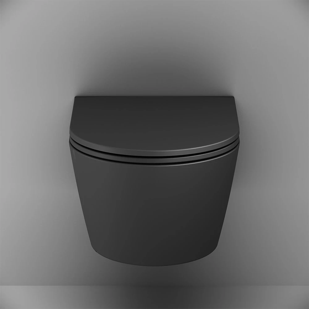 Унитаз AM.PM Func FlashClean C8F1701MBSC подвесной, безободковый, с сиденьем микролифт, цвет черный матовый - фото 1