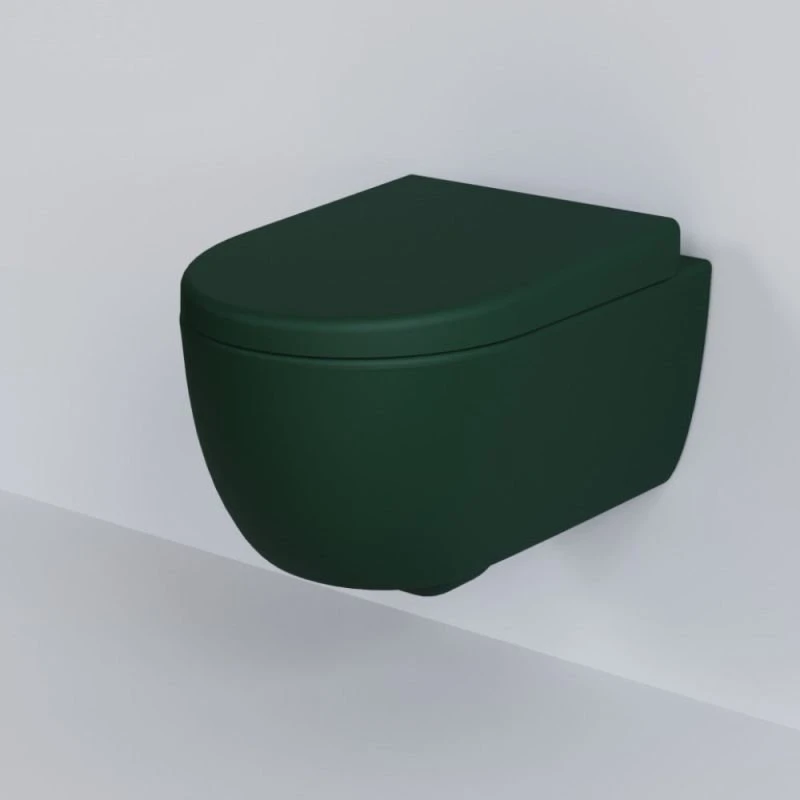 Сиденье Ambassador Abner 102T20701 для унитаза, с микролифтом, цвет зеленый матовый - фото 1