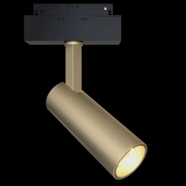 Трековый светильник Maytoni Technical Focus Led TR019-2-10W3K-MG, арматура черная, плафон металл золото матовое - фото 1