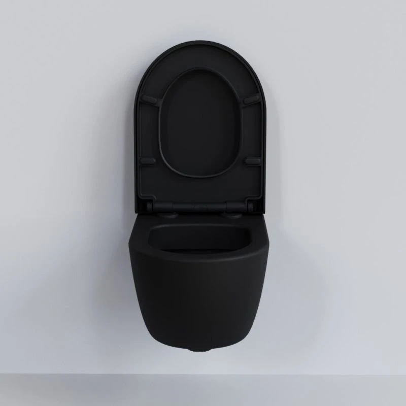Сиденье Ambassador Abner 102T20201 для унитаза, с микролифтом, цвет черный матовый