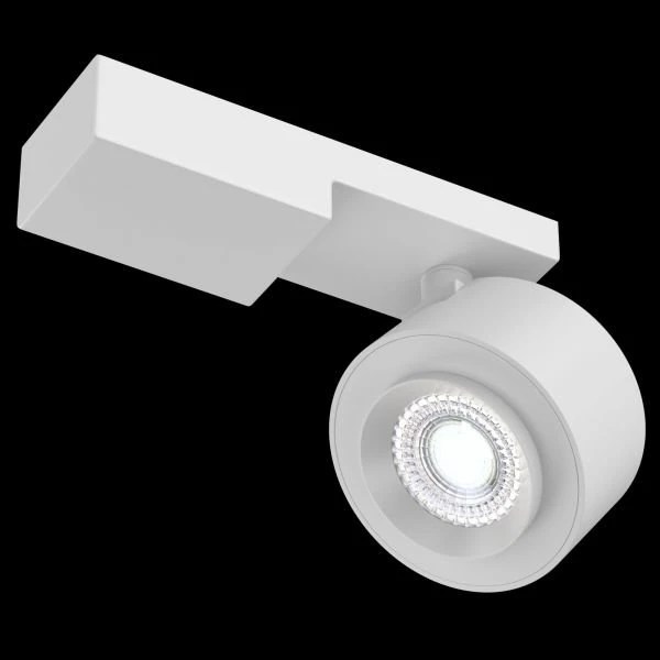 Потолочный светильник Maytoni Technical Treo C062CL-L12W4K, арматура белая, плафон металл белый