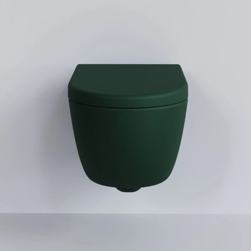 Сиденье Ambassador Abner 102T20701 для унитаза, с микролифтом, цвет зеленый матовый